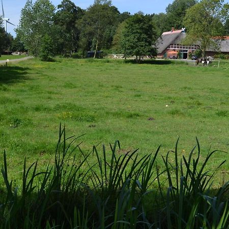 Ferienwohnung Suderfeld Brake  Buitenkant foto