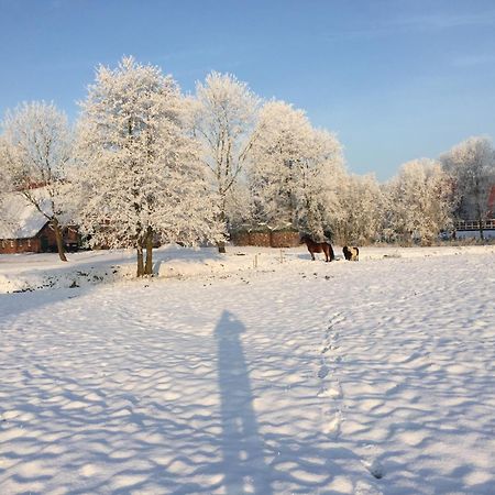 Ferienwohnung Suderfeld Brake  Buitenkant foto