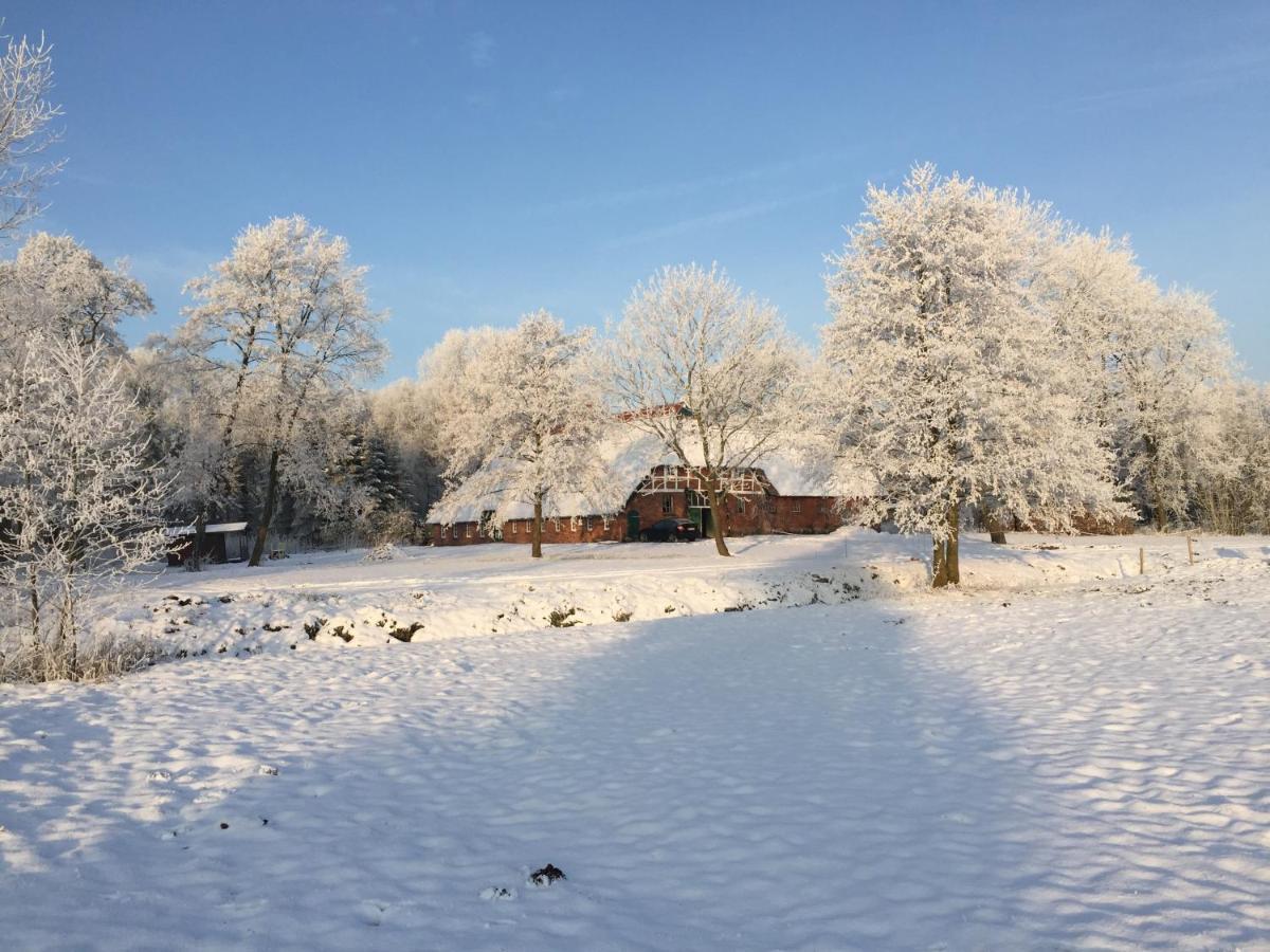Ferienwohnung Suderfeld Brake  Buitenkant foto