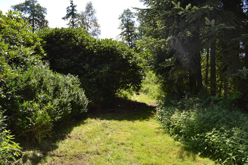 Ferienwohnung Suderfeld Brake  Buitenkant foto