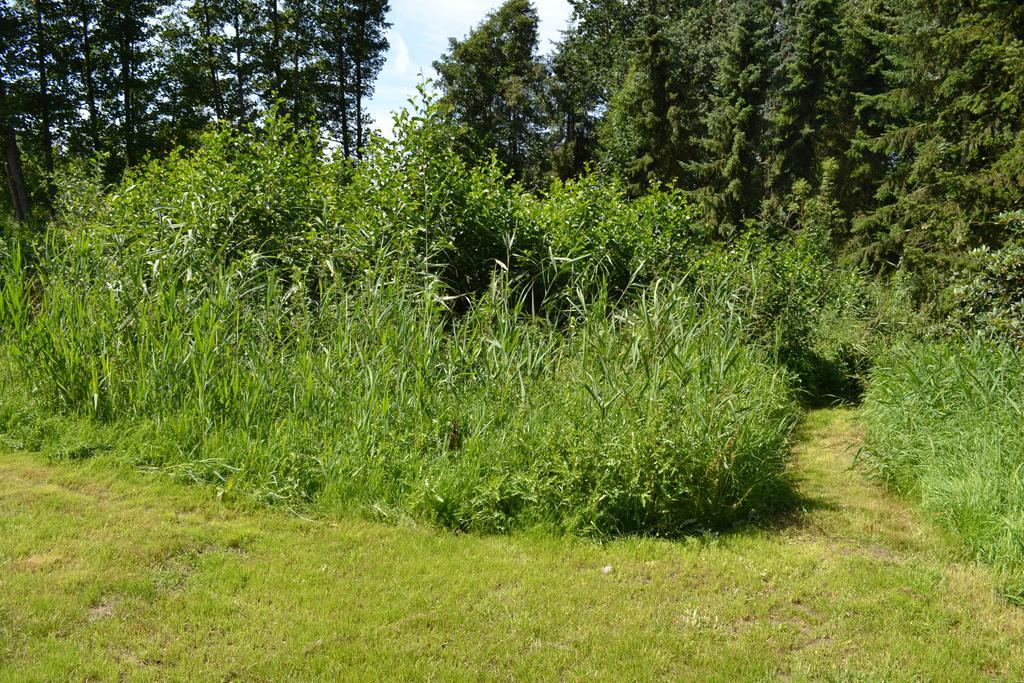 Ferienwohnung Suderfeld Brake  Buitenkant foto