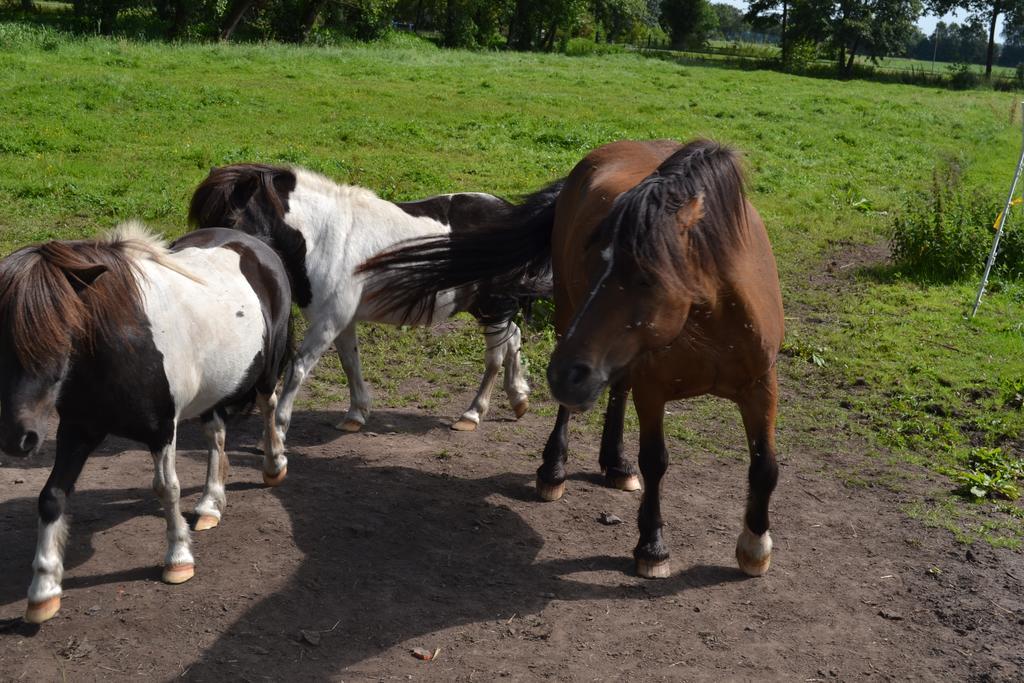 Ferienwohnung Suderfeld Brake  Buitenkant foto