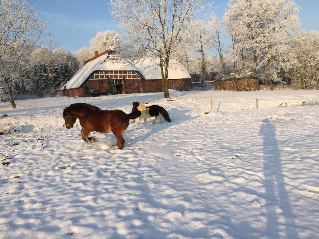 Ferienwohnung Suderfeld Brake  Buitenkant foto
