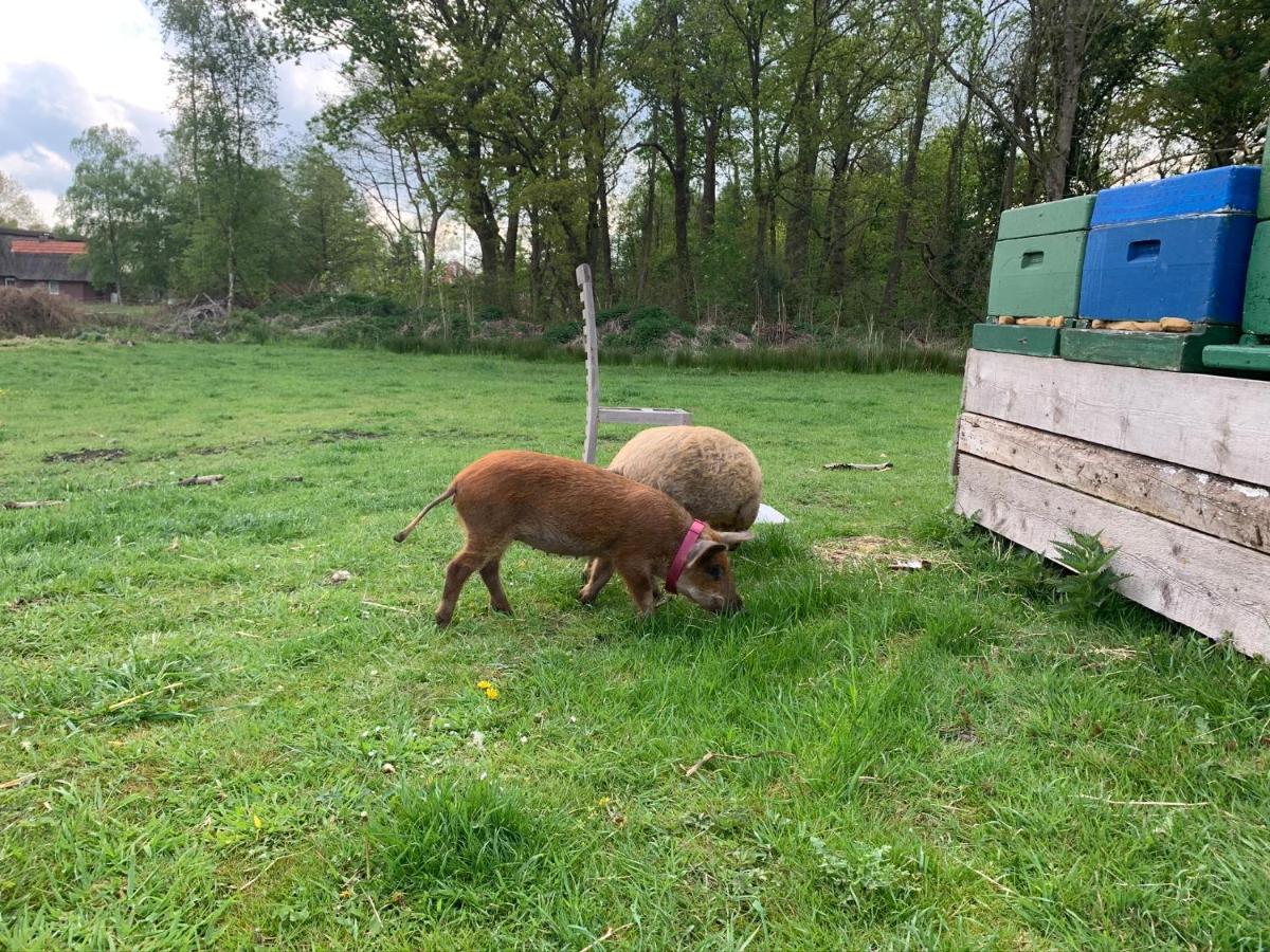 Ferienwohnung Suderfeld Brake  Buitenkant foto