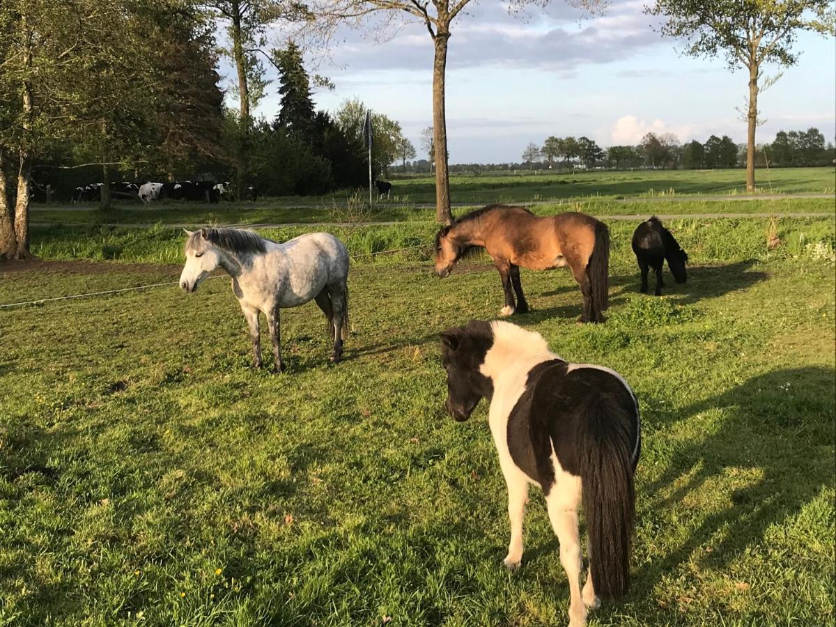 Ferienwohnung Suderfeld Brake  Buitenkant foto
